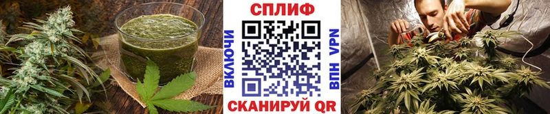 Canna-Cookies марихуана  Саратов 