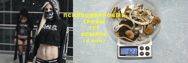 скорость Абинск