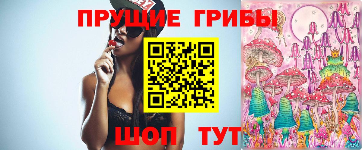 Саратов  Псилоцибиновые грибы ЛСД  Вход с VPN 