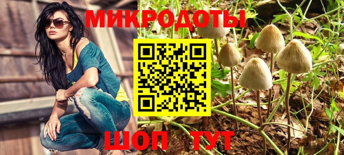 Псилоцибиновые грибы мицелий Саратов