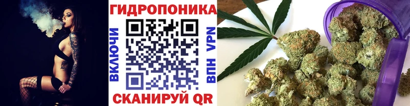 сколько стоит  Саратов  блэк спрут tor  Каннабис планчик 